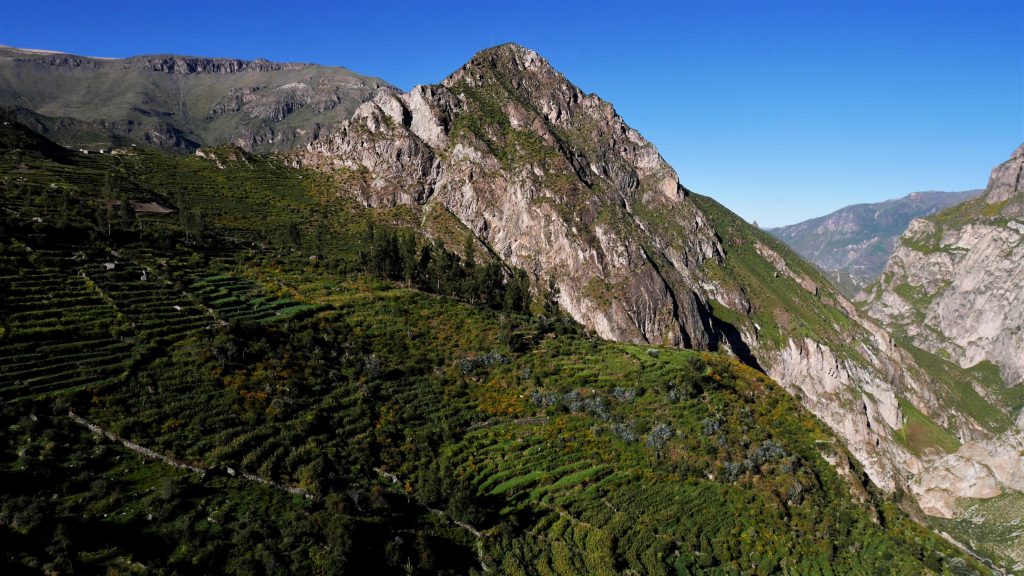 Des terrasses à perte de vue