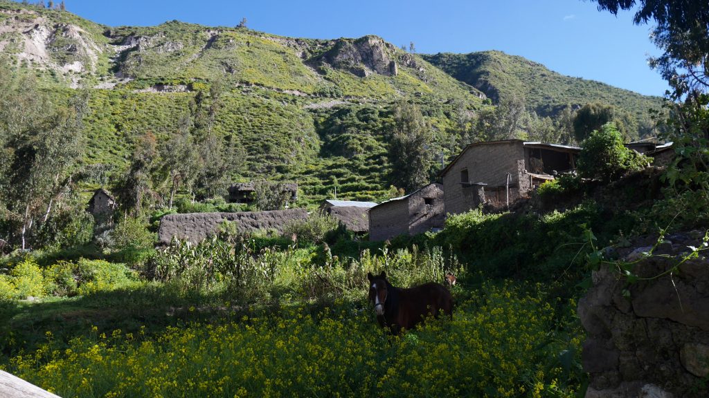 Un petit hameau dépendant de Charcana