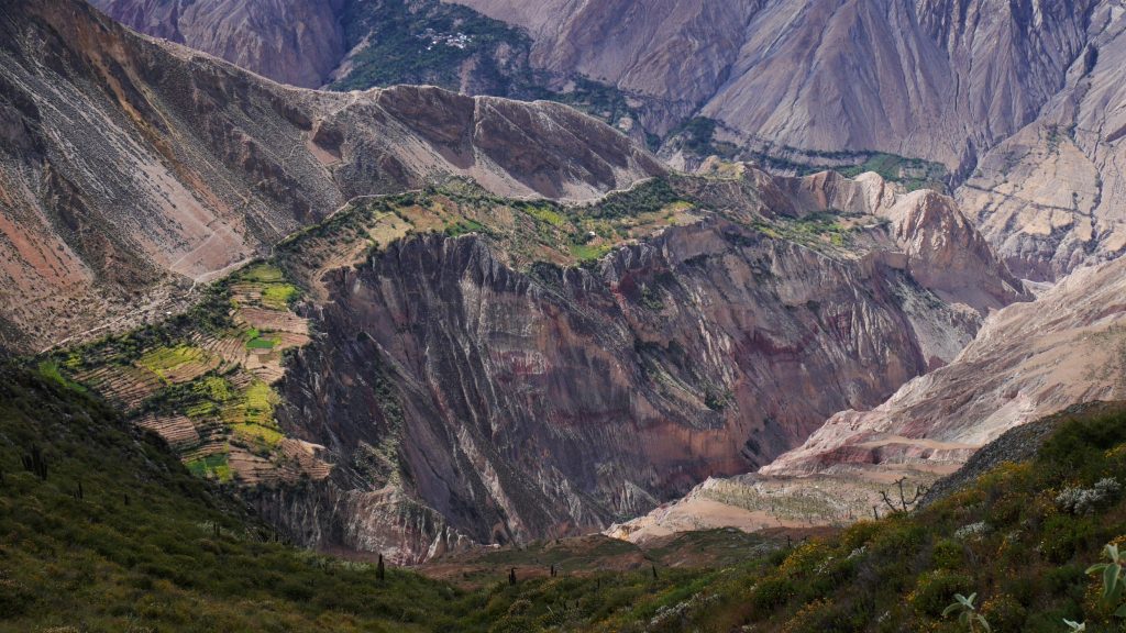 Des cultures à des endroits improbables