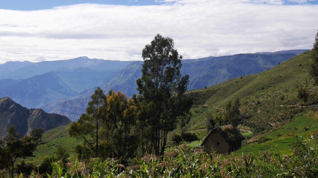 La petite maison dans la prairie