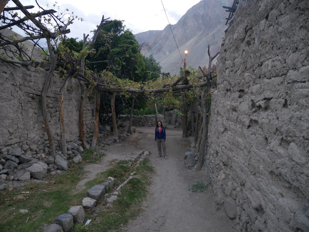Les ruelles recouvertes de vigne