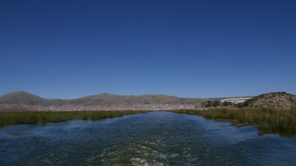 Dans les marais de totora