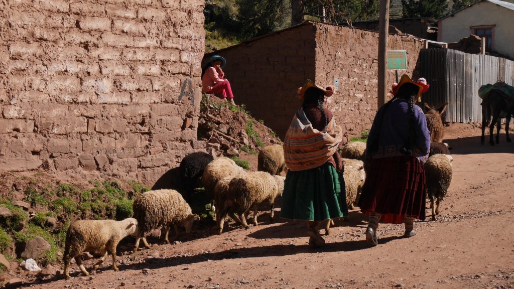 titicaca-jour-4-4
