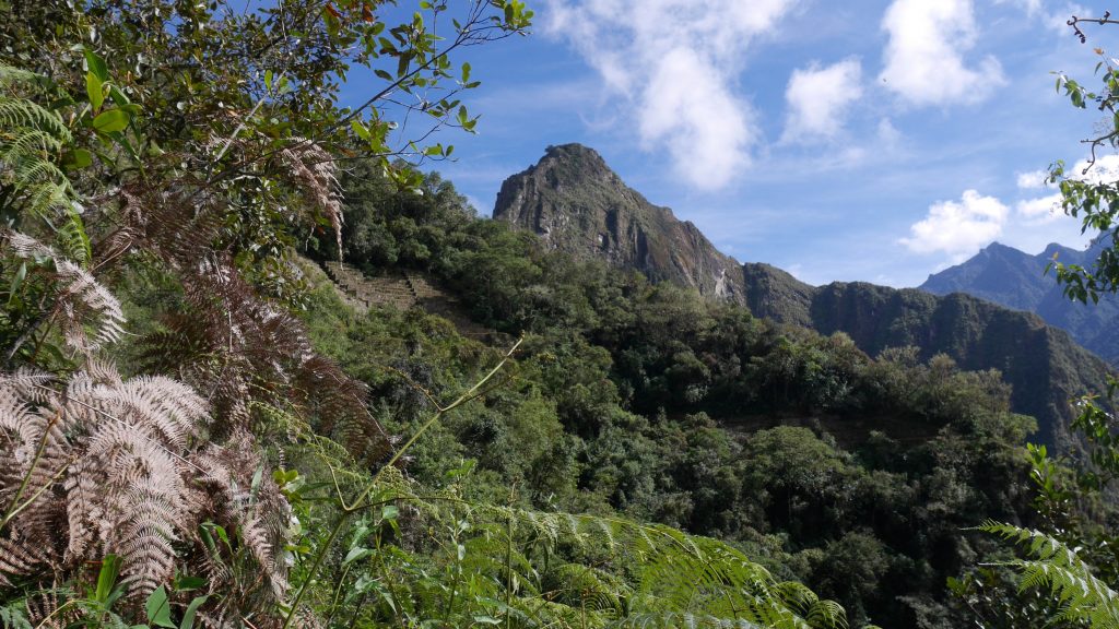 On s'approche du site