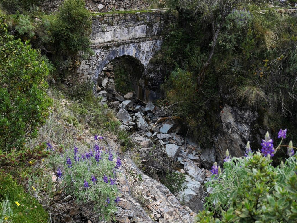 Un des ponts du parcours
