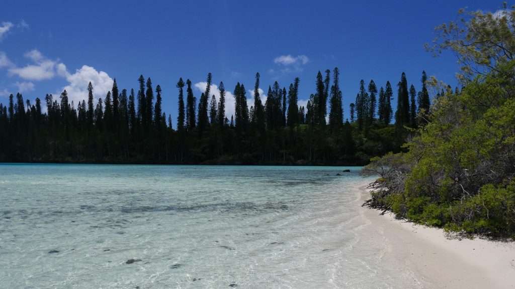 La piscine naturelle