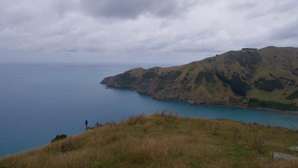 Thomas à Cable Bay