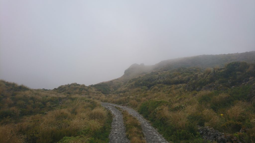 Route embrumée