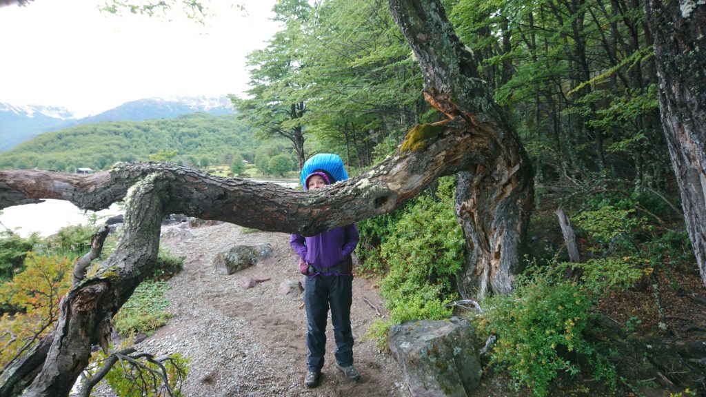 Que d'obstacles !