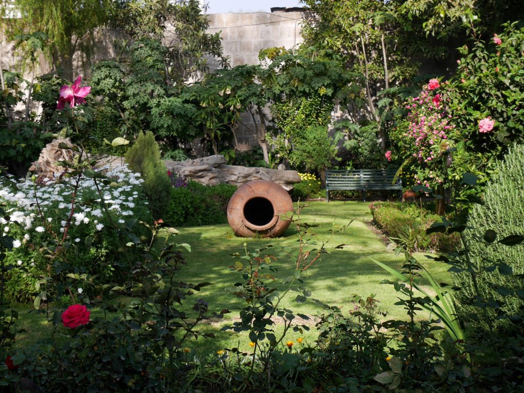 Le jardin 