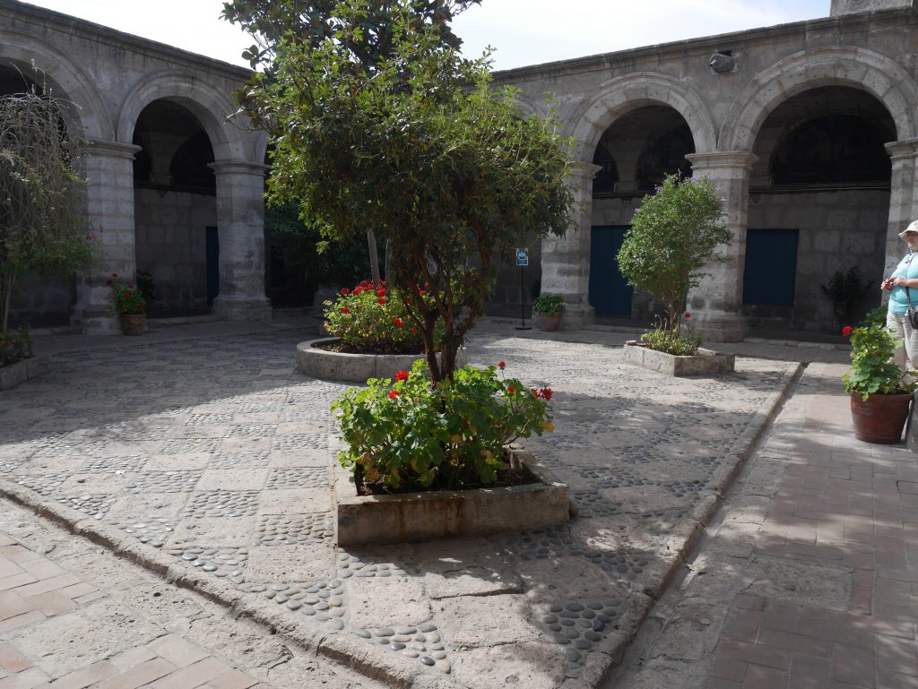 La cours des novices